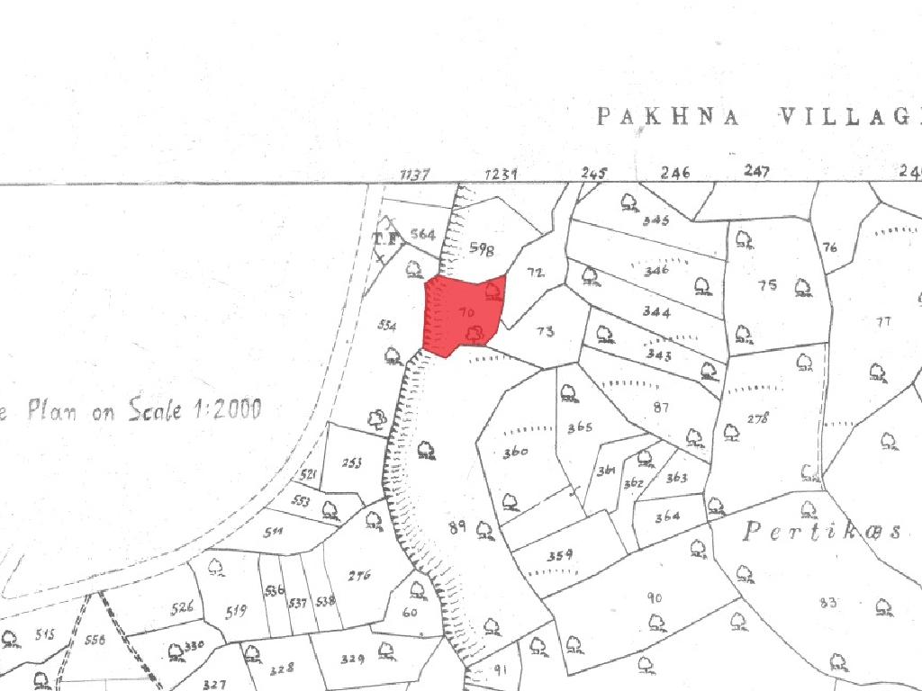 Field-Pachna-PR37140