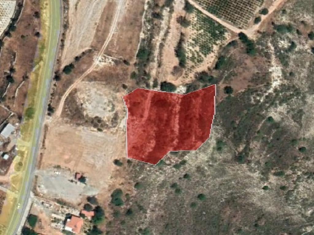 Field-Pachna-PR37140