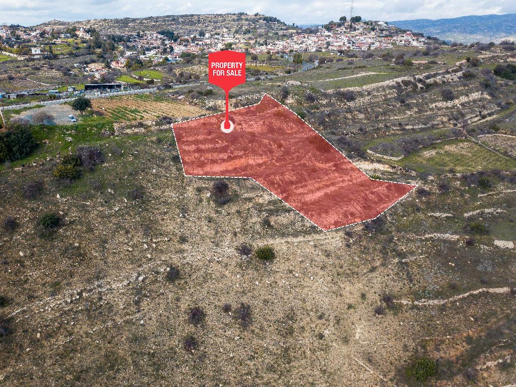 Field-Pachna-PR37140