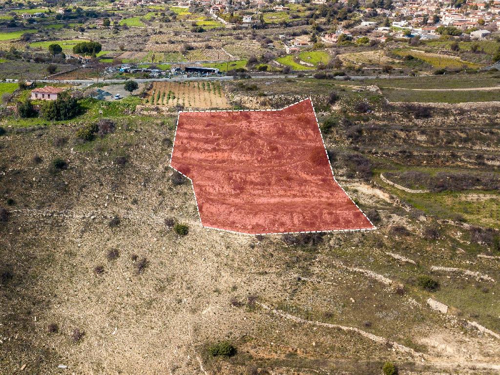 Field-Pachna-PR37140