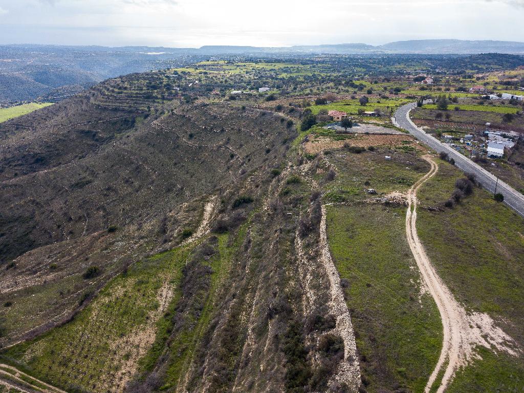 Field-Pachna-PR37140