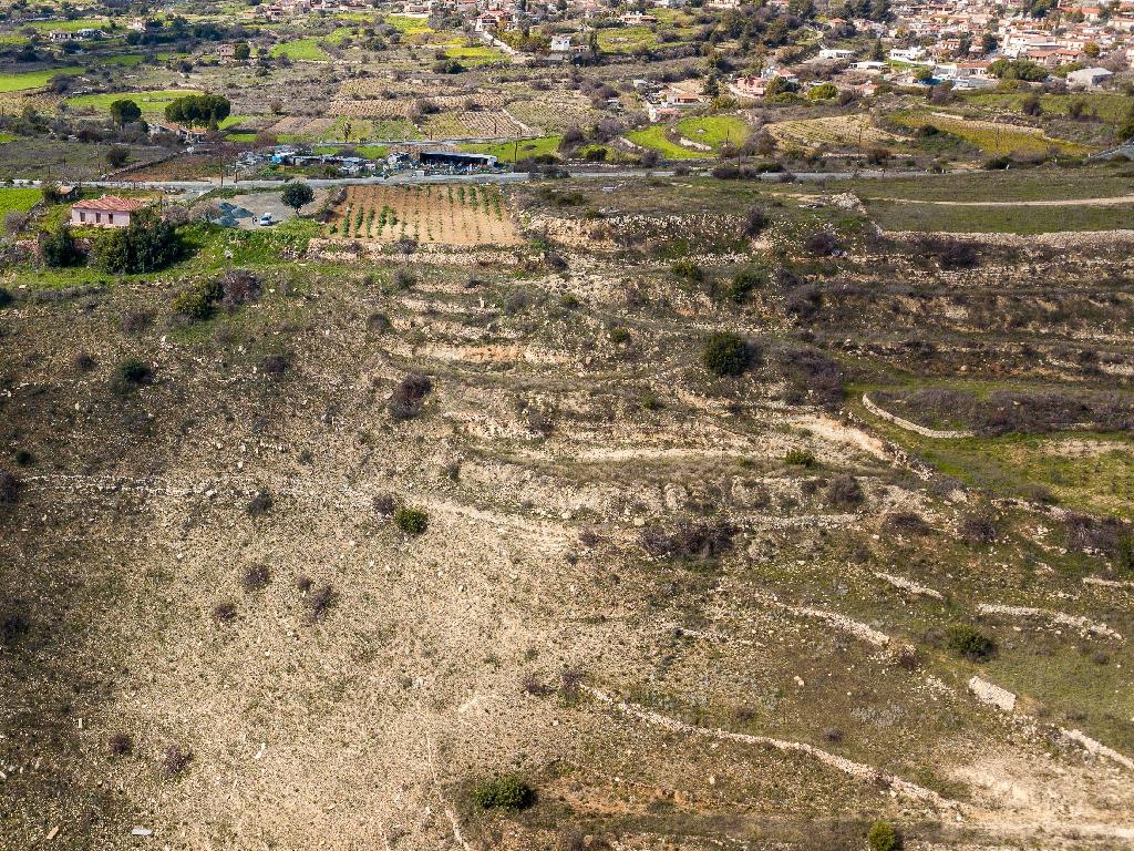 Field-Pachna-PR37140