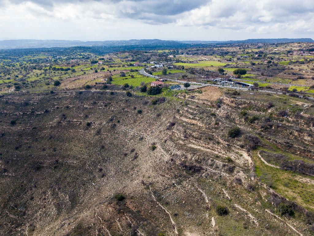Field-Pachna-PR37140