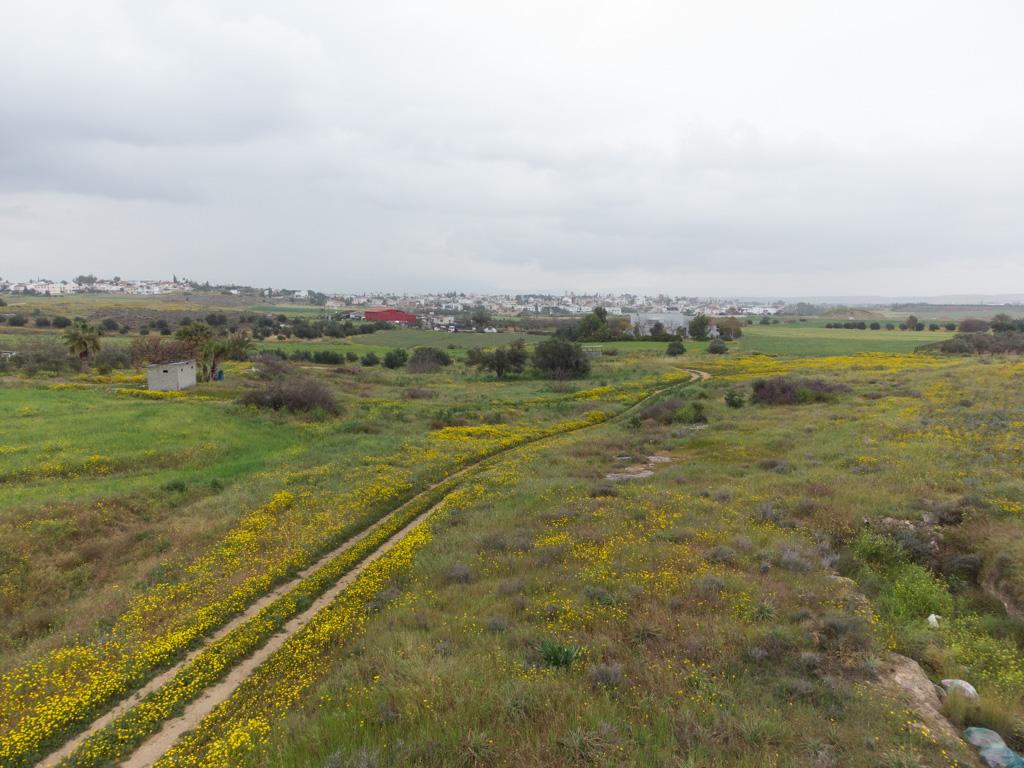 Field - Geri, Nicosia