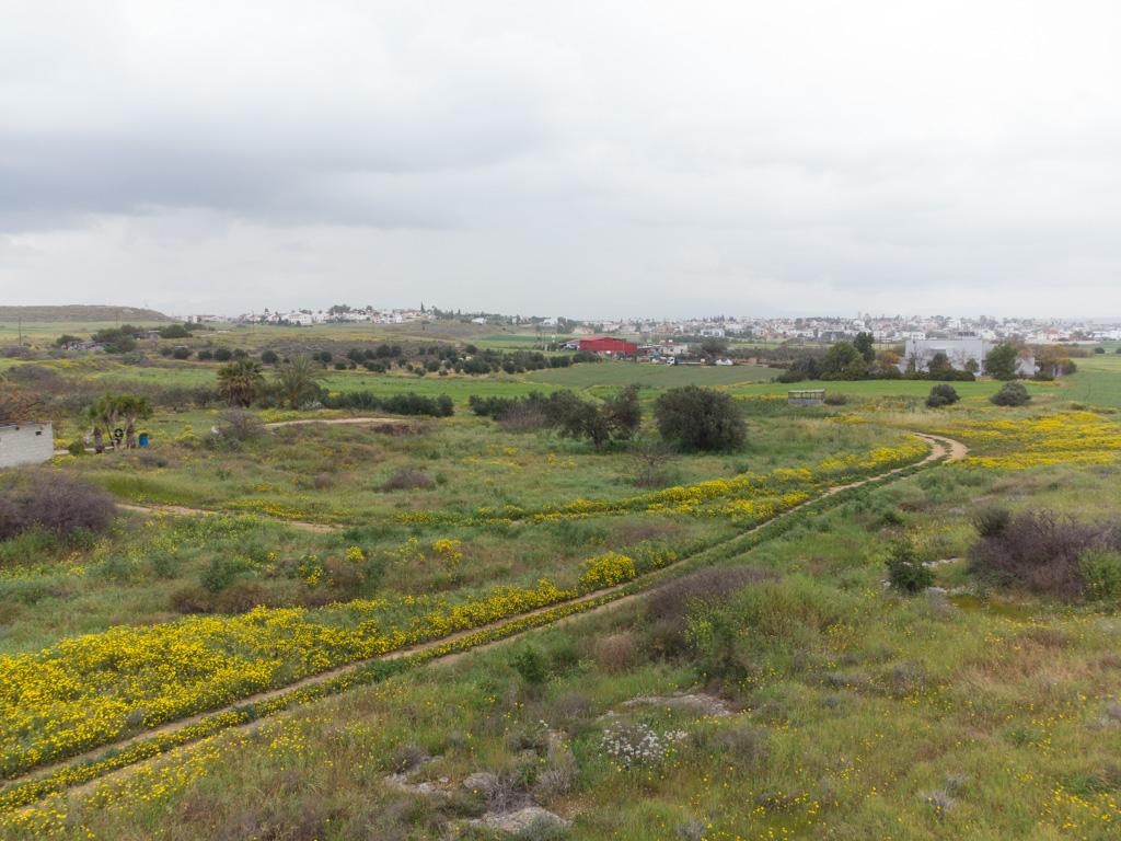 Field-Geri-PR37842