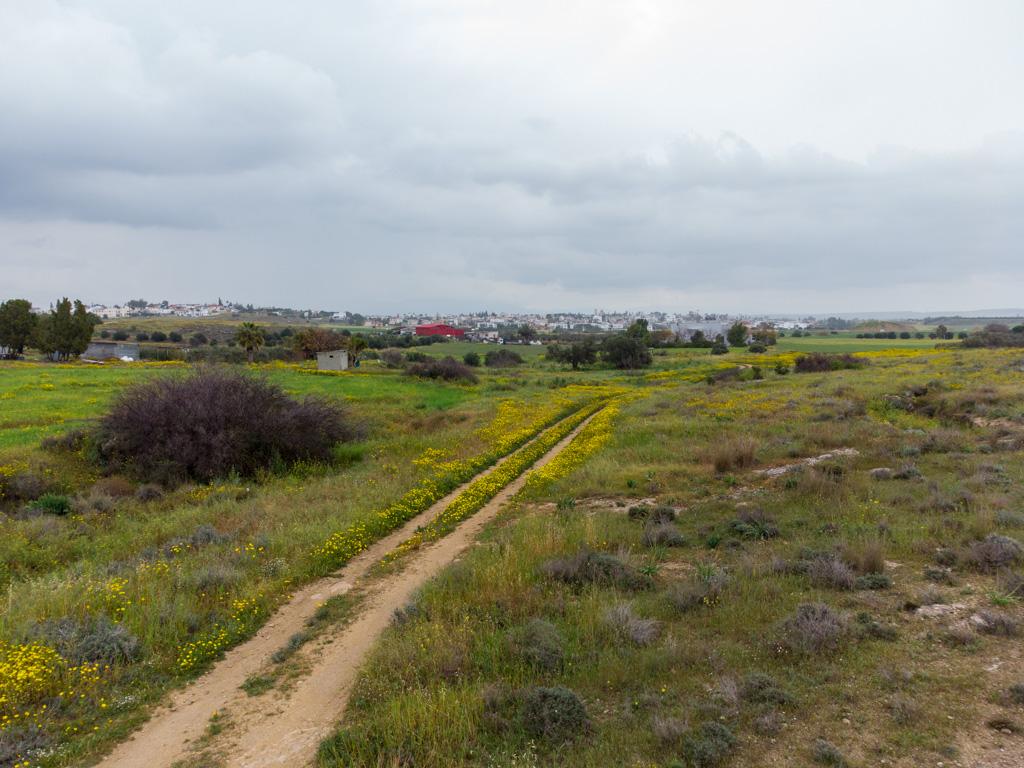 Field - Geri, Nicosia