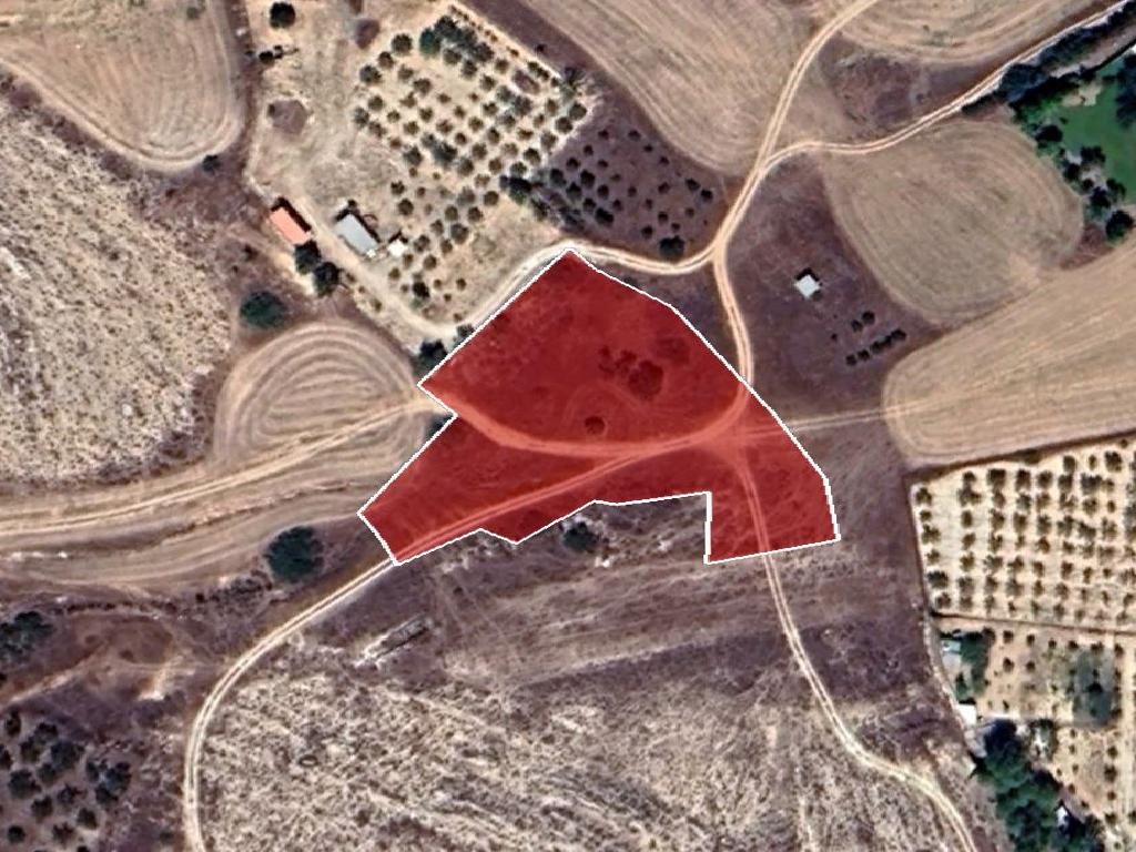 Field-Geri-PR37842