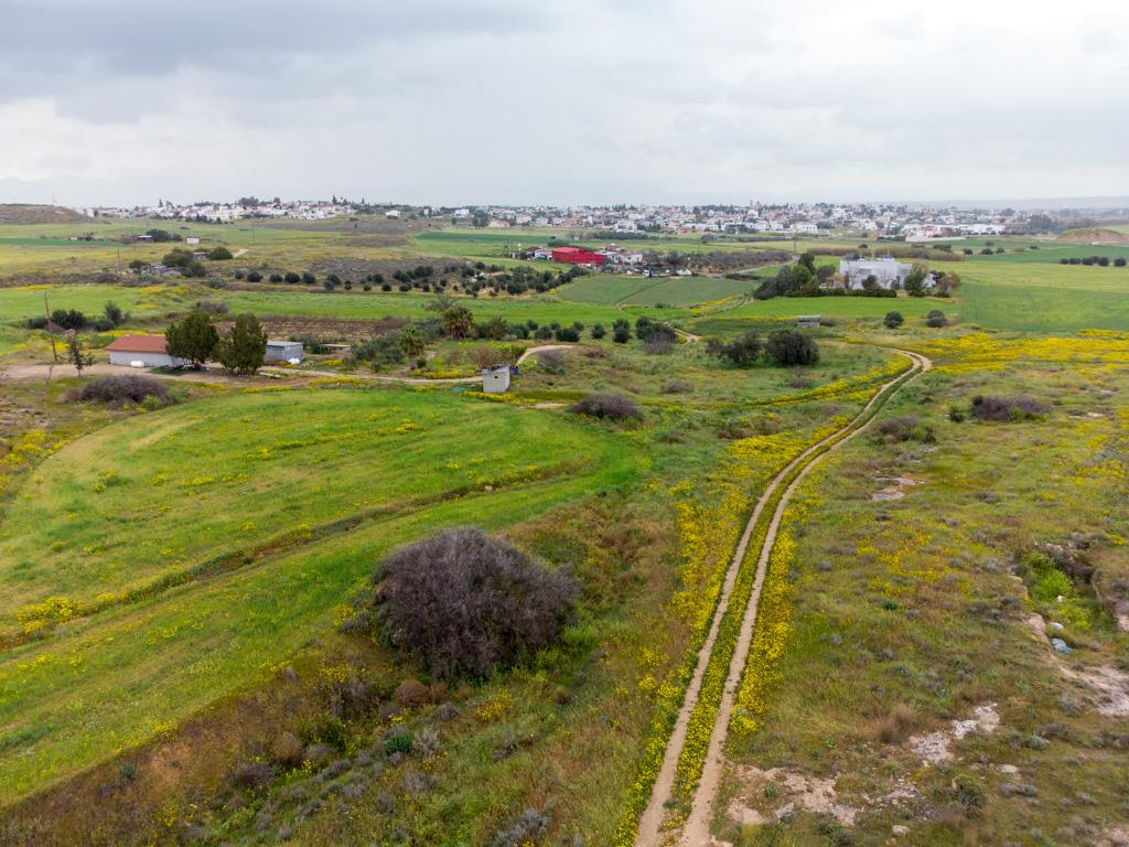 Field - Geri, Nicosia