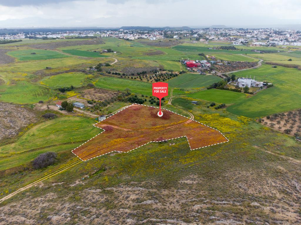 Field - Geri, Nicosia