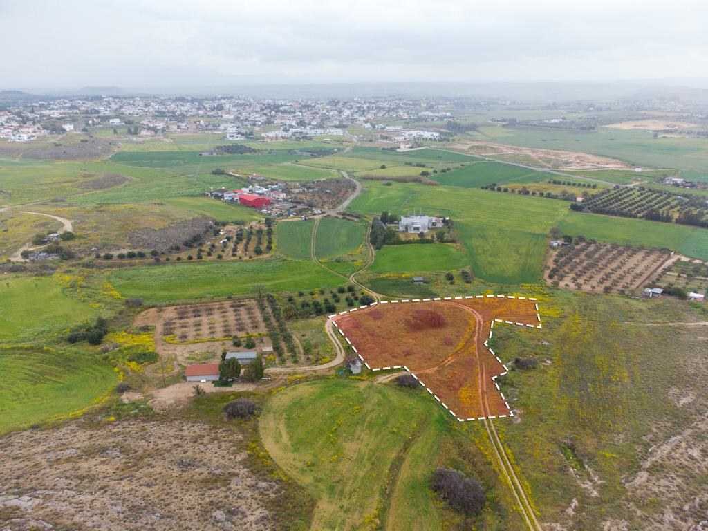 Field - Geri, Nicosia