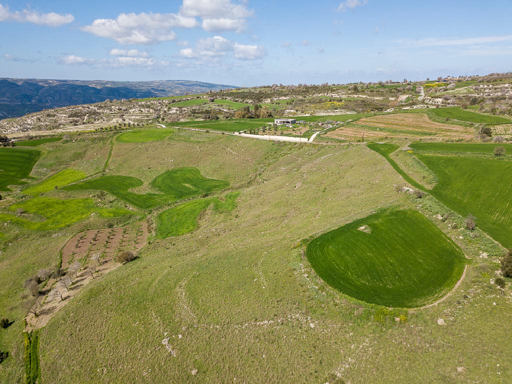 Field-Thrinia-PR38744
