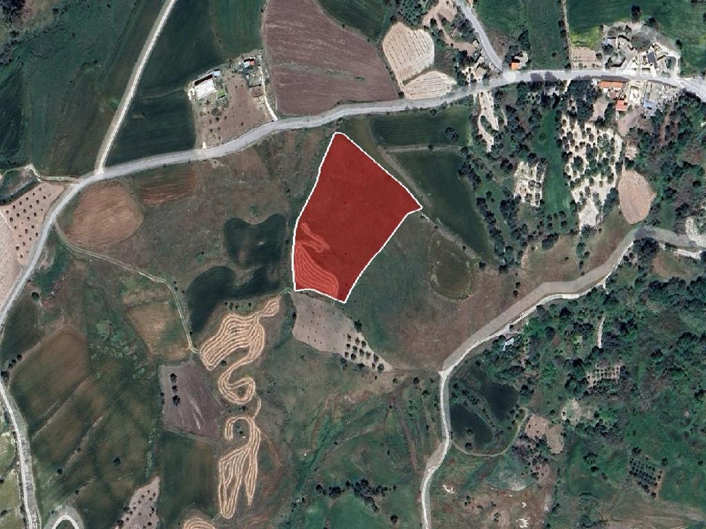 Field-Thrinia-PR38744