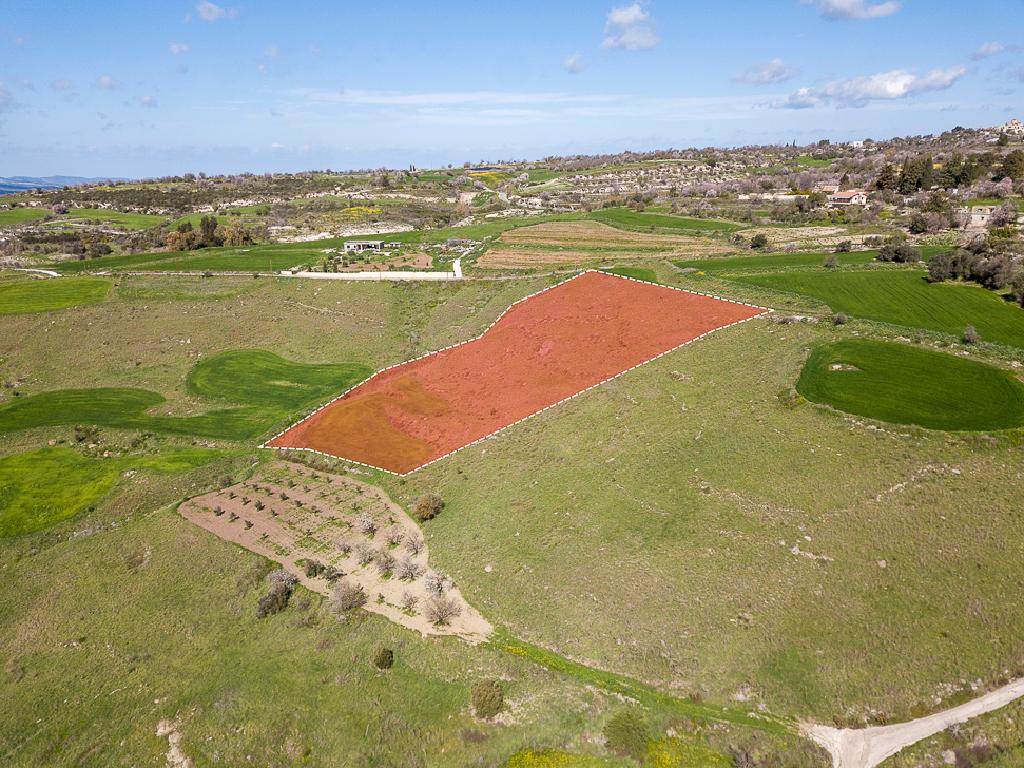 Field-Thrinia-PR38744