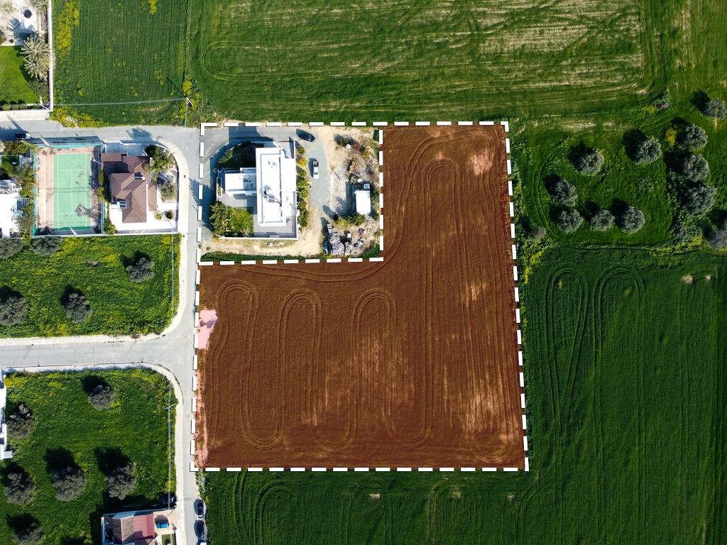Field-Athienou-PR39873