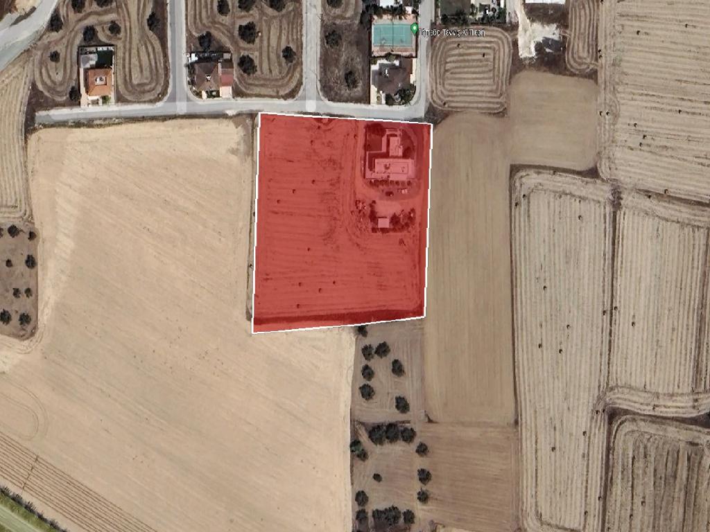 Field-Athienou-PR39873