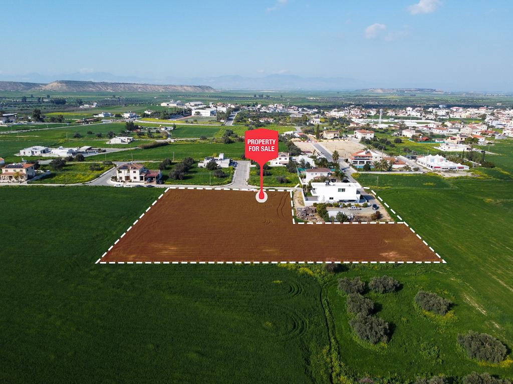 Field-Athienou-PR39873