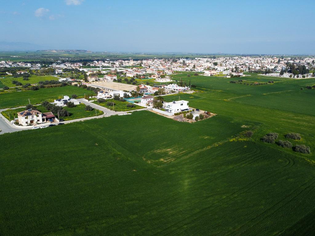 Field-Athienou-PR39873
