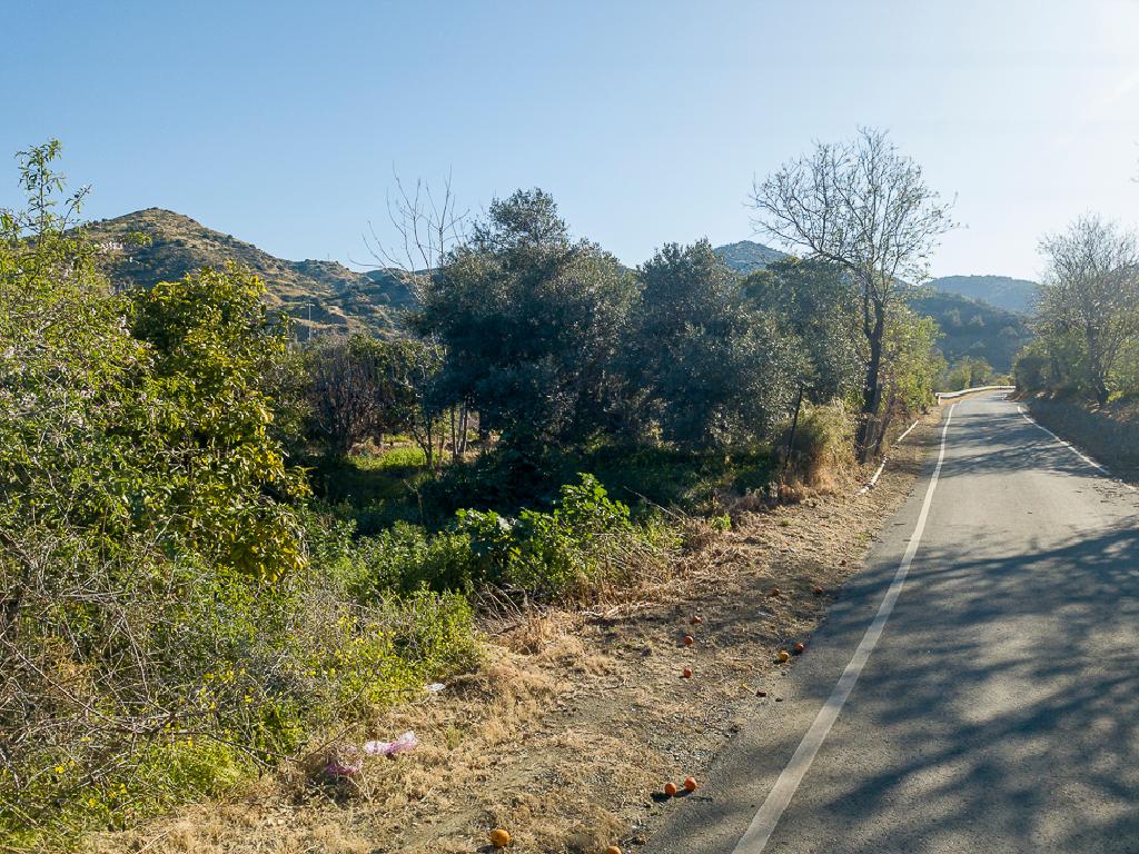 Field-Pomos-PR40802