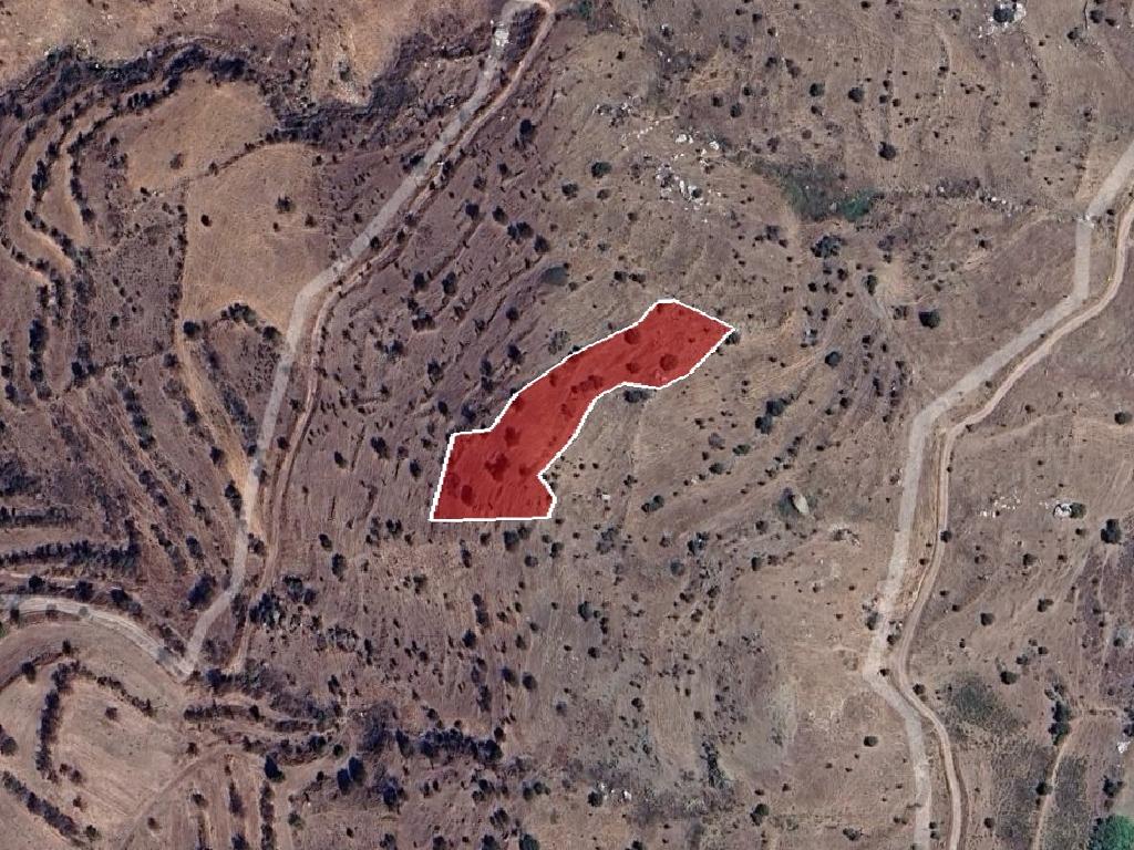 Field-Pentalia-PR41299