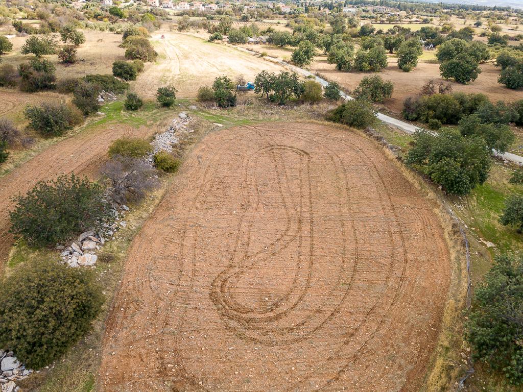 Field-Anogira-PR41613