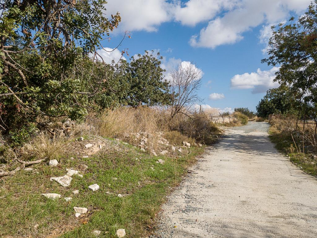 Field-Anogira-PR41613
