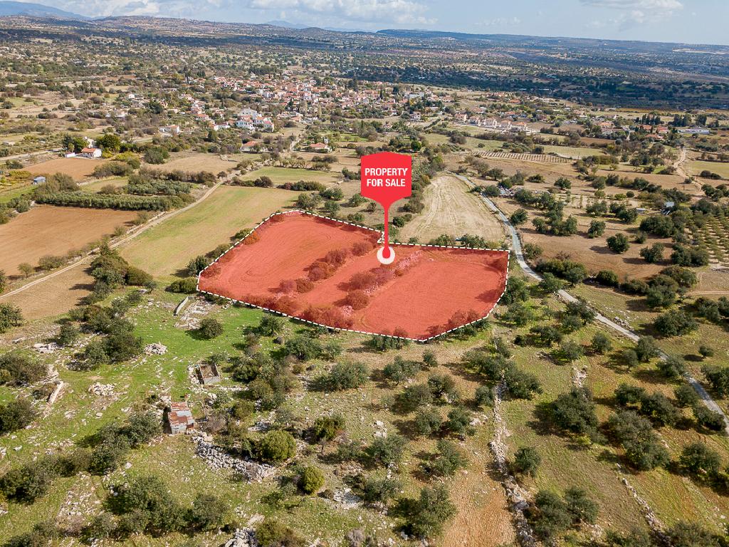 Field-Anogira-PR41613