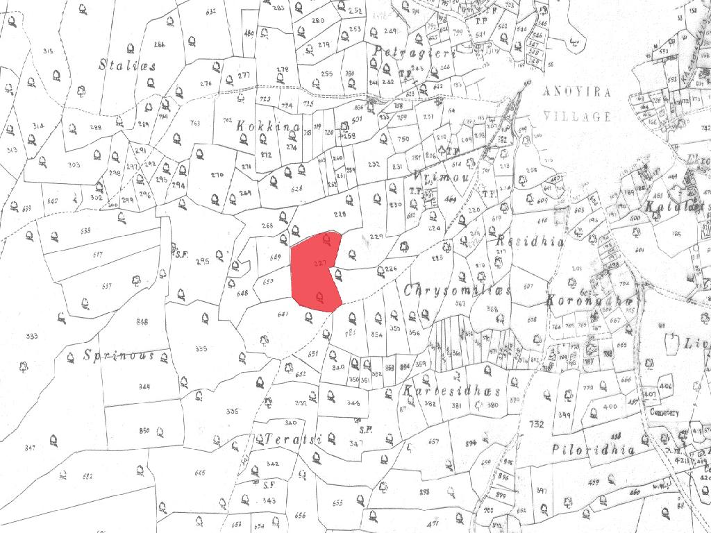 Field-Anogira-PR41613