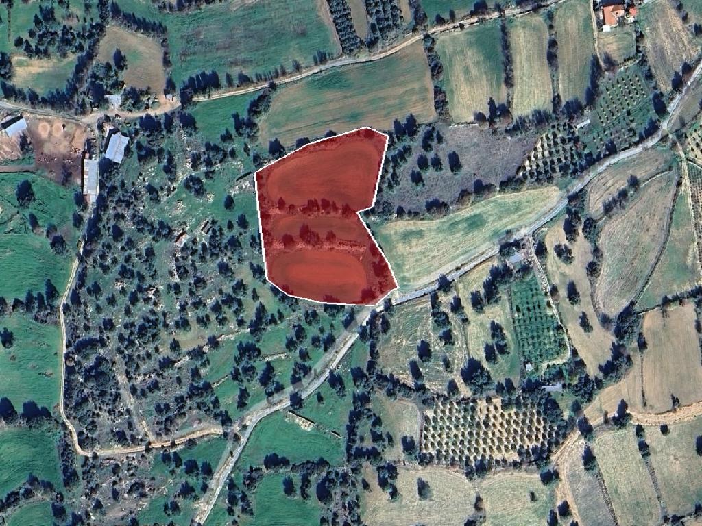Field-Anogira-PR41613
