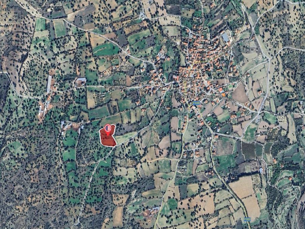 Field-Anogira-PR41613