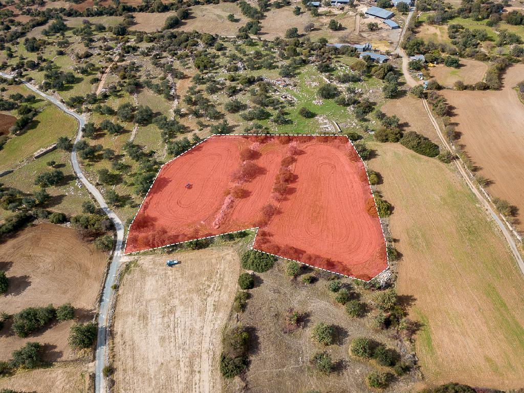 Field-Anogira-PR41613