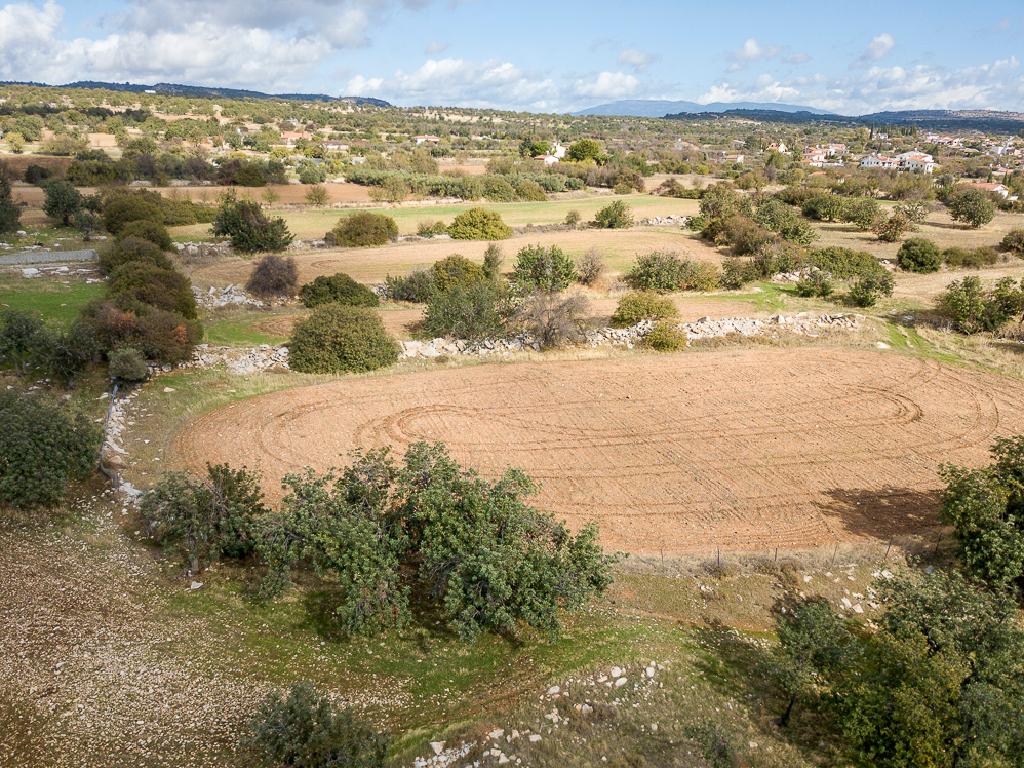 Field-Anogira-PR41613