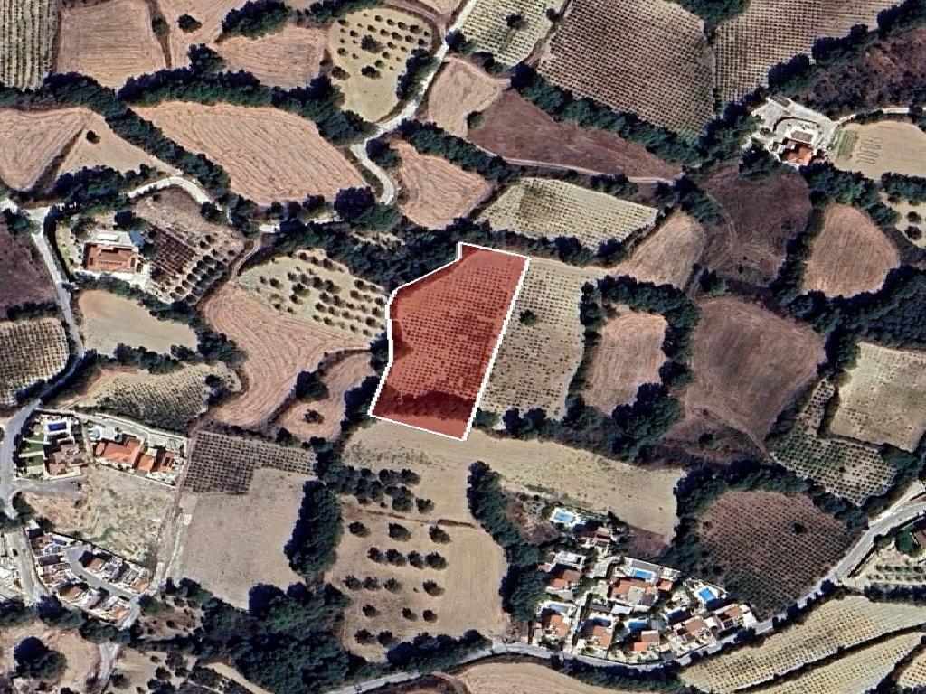 Field-Stroumpi-PR41908
