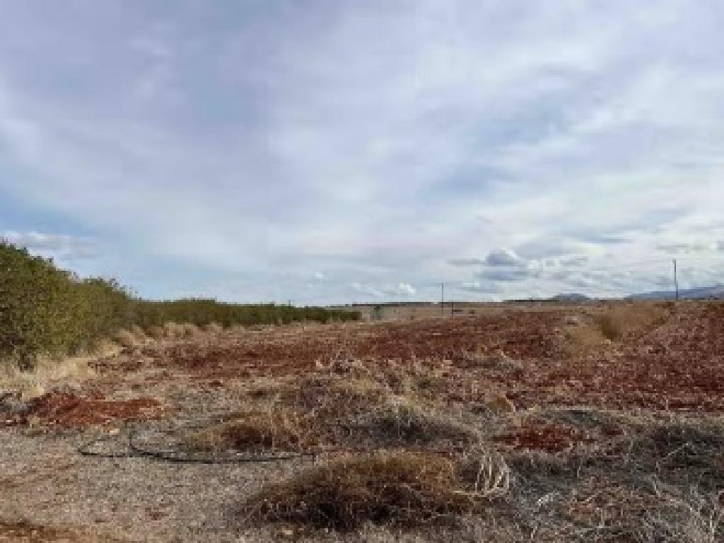 Field - Peristerona, Nicosia