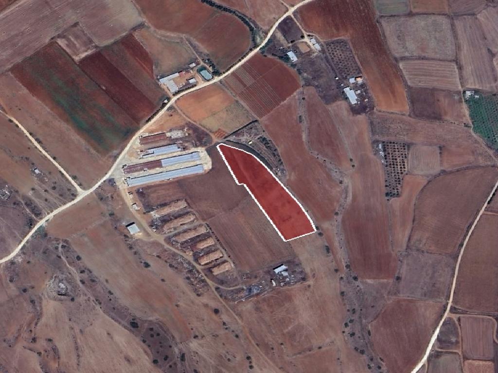 Field - Peristerona, Nicosia
