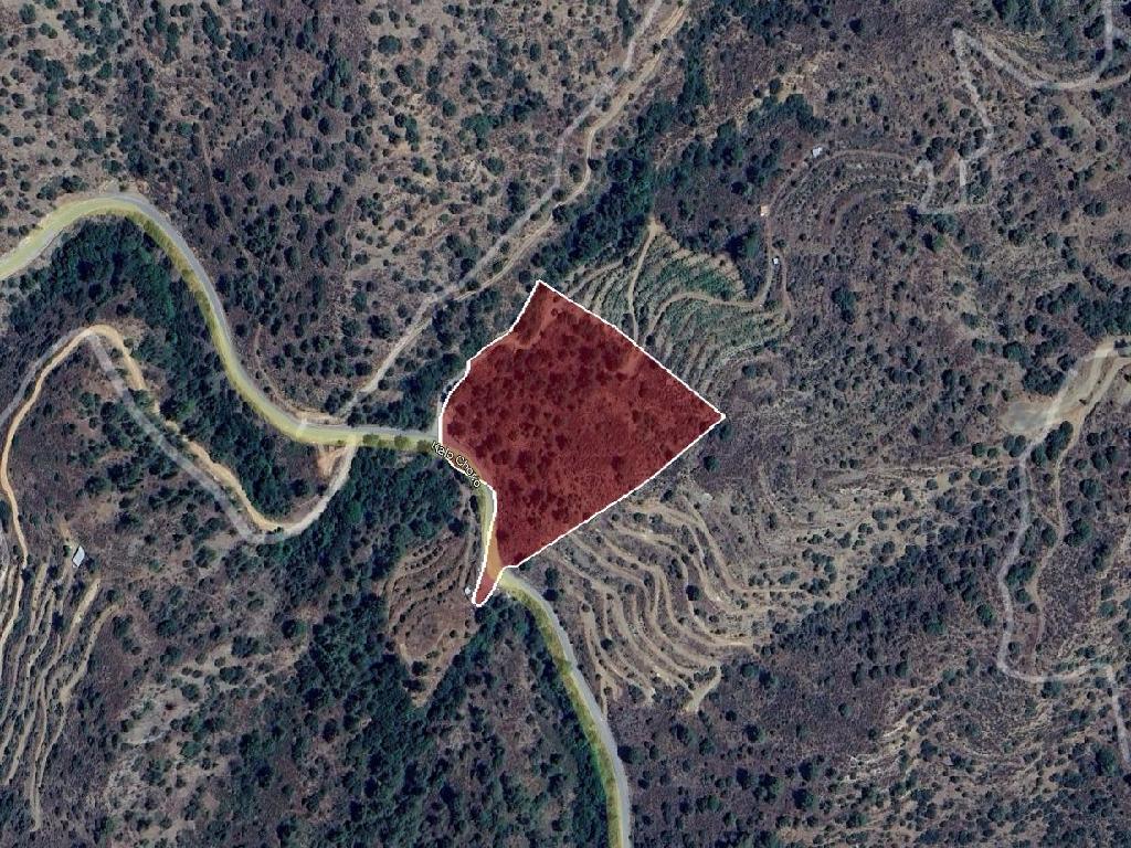 Field-Kalo Chorio-PR42531