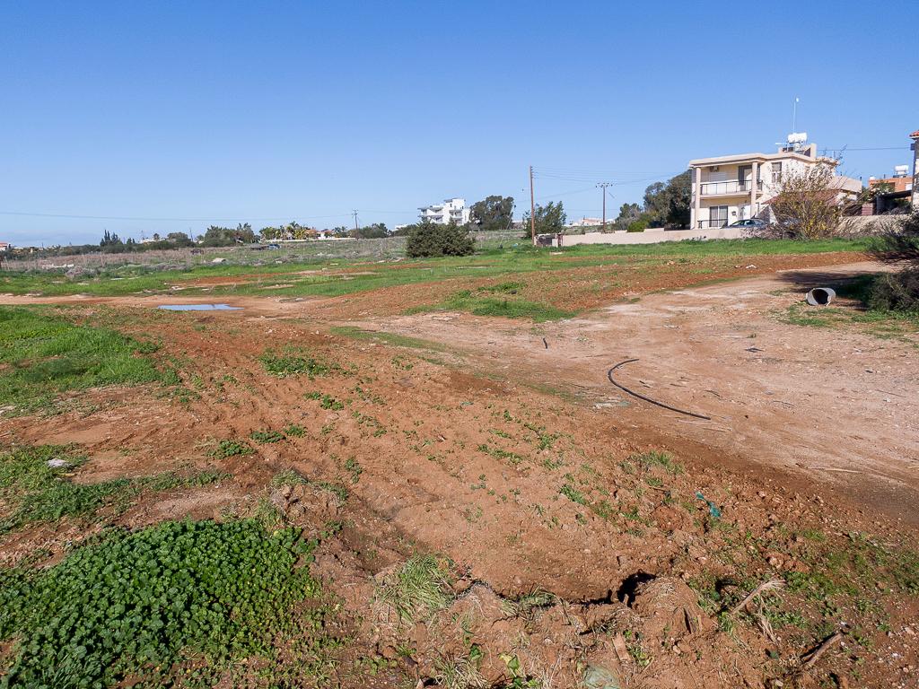 Field - Sotira, Famagusta