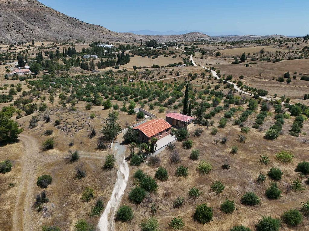 &Kappa;&alpha;&tau;&omicron;&iota;&kappa;ί&alpha; - &Mu;&iota;&tau;&sigma;&epsilon;&rho;ό, &Lambda;&epsilon;&upsilon;&kappa;&omega;&sigma;ί&alpha;