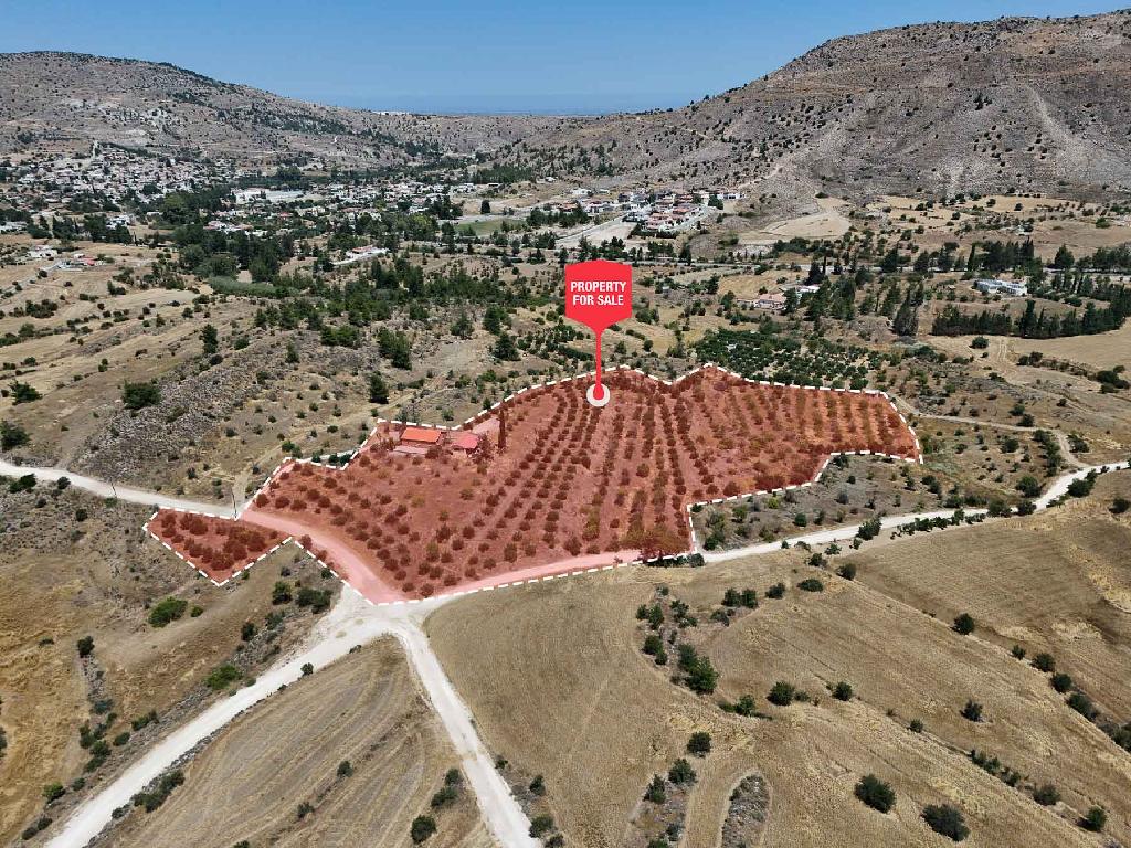 &Kappa;&alpha;&tau;&omicron;&iota;&kappa;ί&alpha; - &Mu;&iota;&tau;&sigma;&epsilon;&rho;ό, &Lambda;&epsilon;&upsilon;&kappa;&omega;&sigma;ί&alpha;
