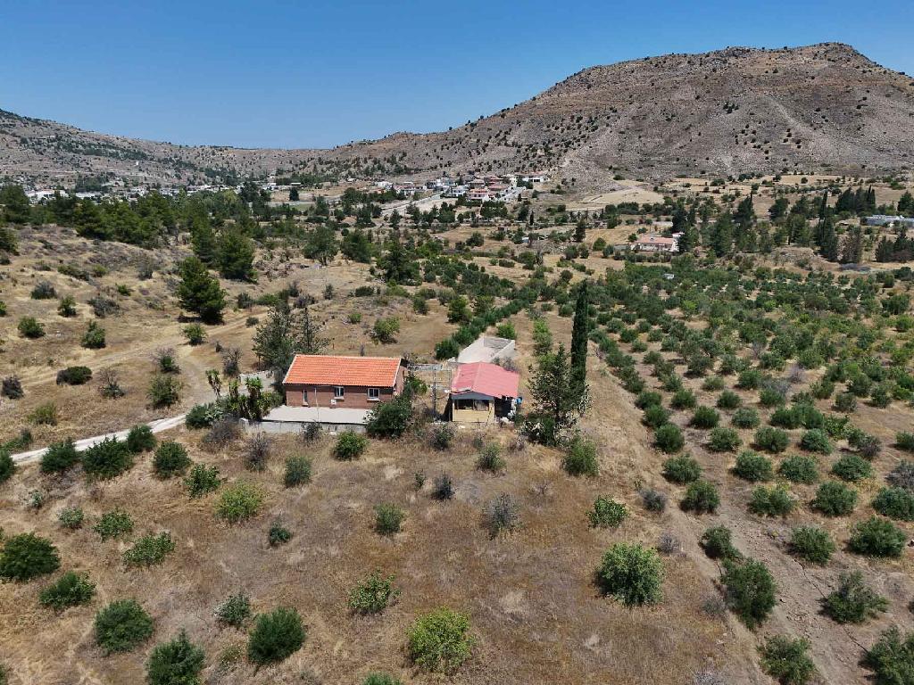 &Kappa;&alpha;&tau;&omicron;&iota;&kappa;ί&alpha; - &Mu;&iota;&tau;&sigma;&epsilon;&rho;ό, &Lambda;&epsilon;&upsilon;&kappa;&omega;&sigma;ί&alpha;