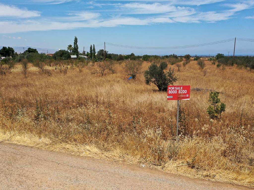 Field - Astromeritis, Nicosia