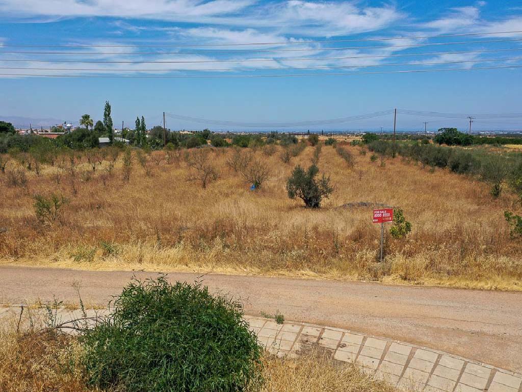 Field - Astromeritis, Nicosia