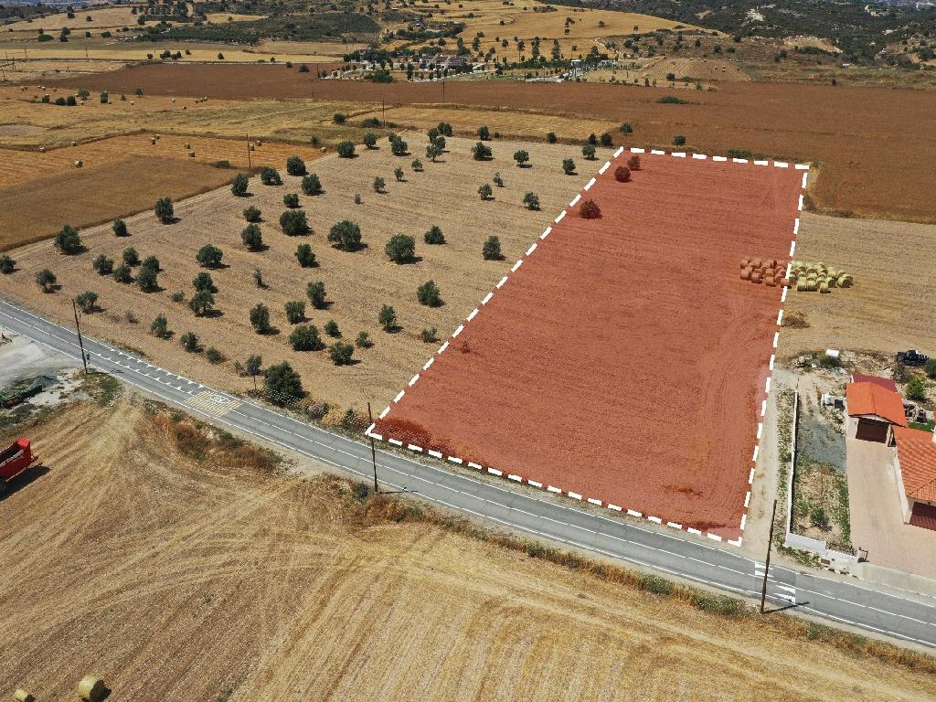 Field - Alaminos, Larnaca