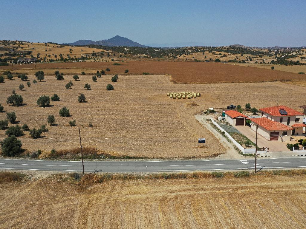 Field - Alaminos, Larnaca