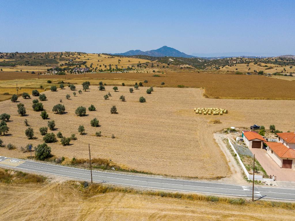 Field - Alaminos, Larnaca