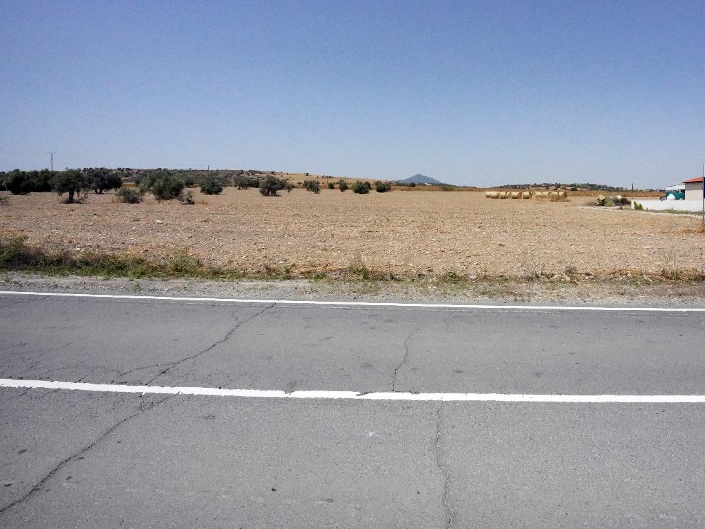 Field - Alaminos, Larnaca