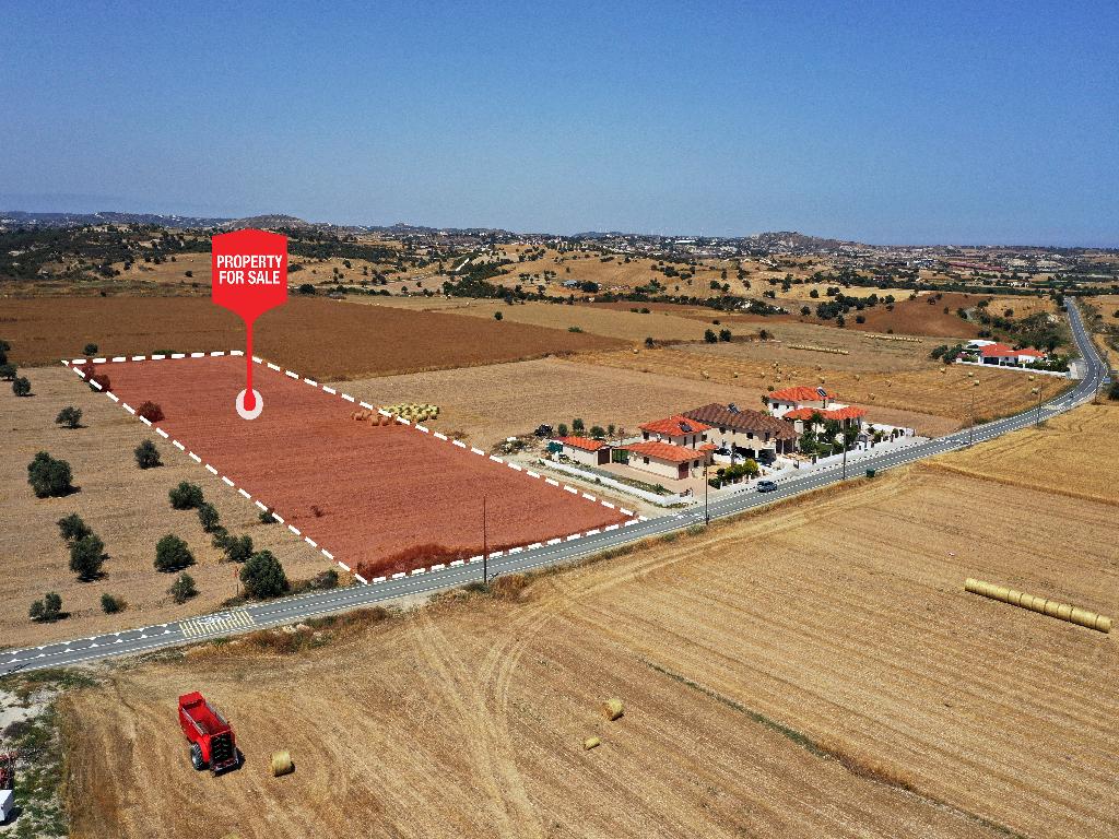 Field - Alaminos, Larnaca
