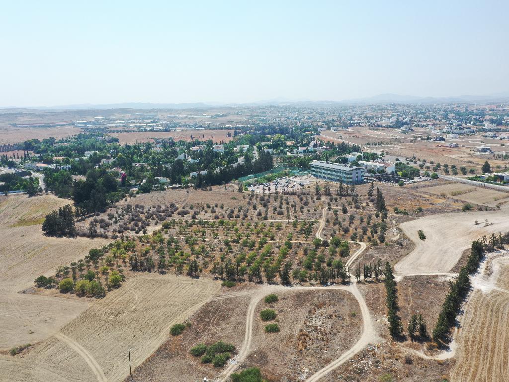 Field (Share) - Geri, Nicosia