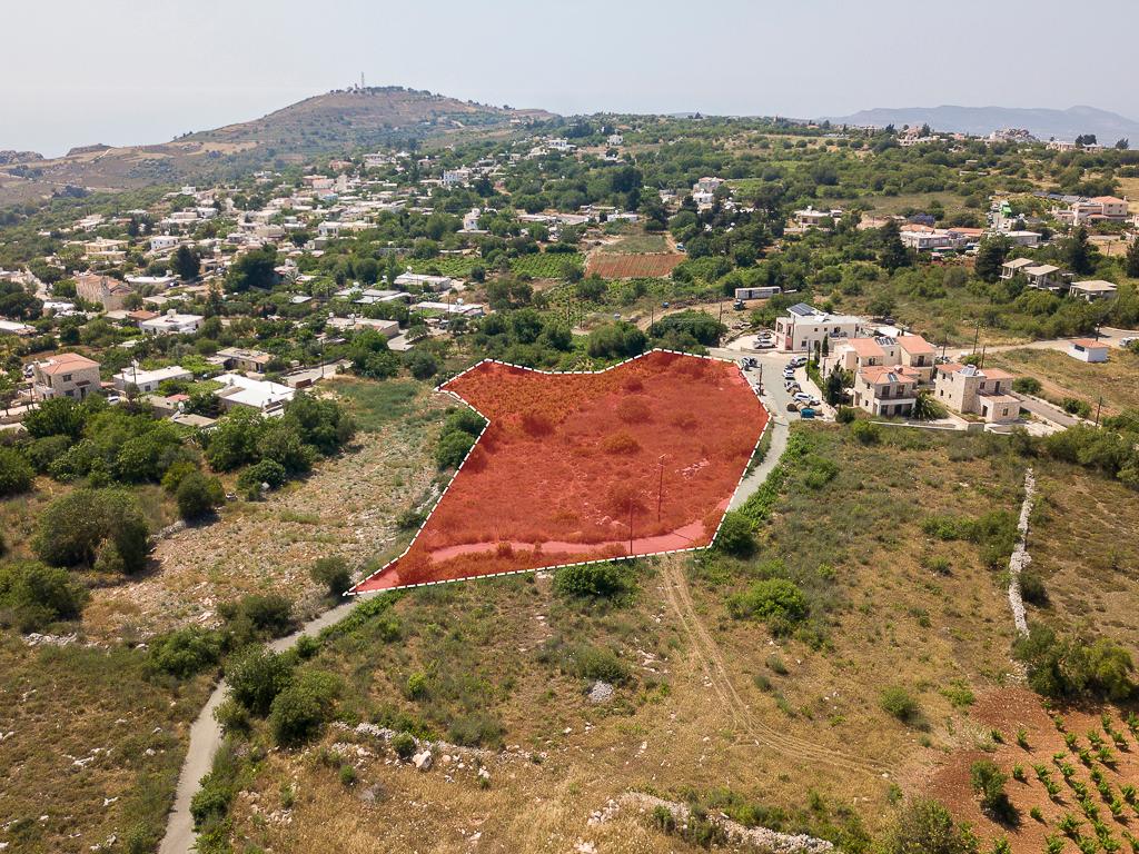 Field-Ineia-PR14448