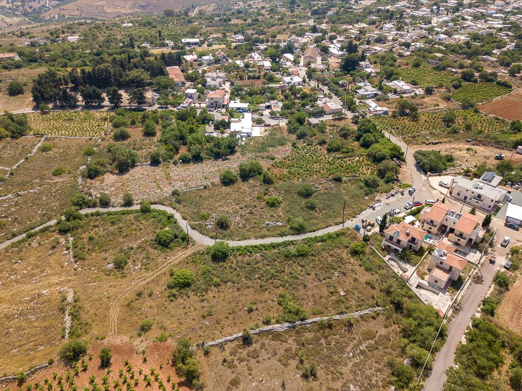Field-Ineia-PR14448