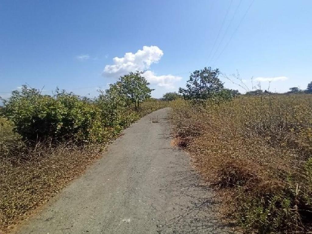 Field-Ineia-PR14448